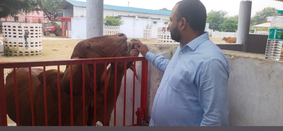 Gorakh nath mandir gow sewa