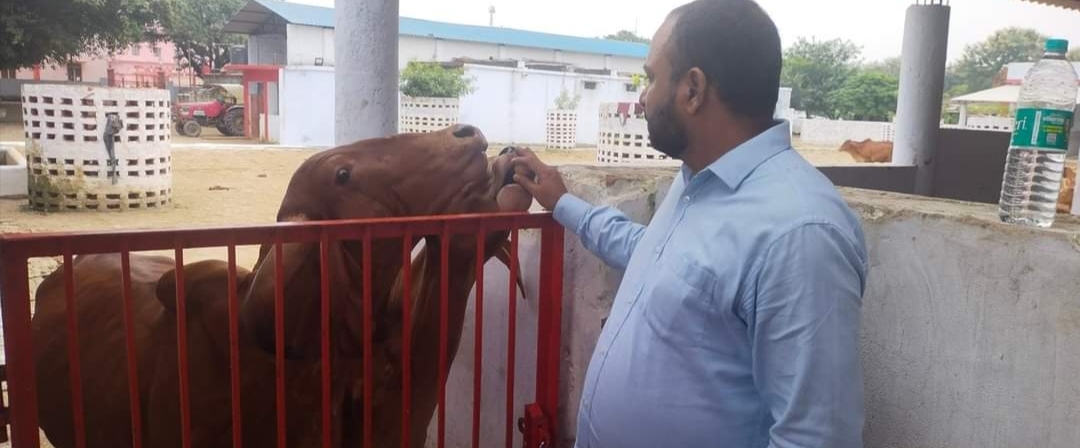 Gorakh nath mandir mai gow sewa